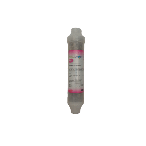 4 IN 1 MINERAL VITAL SMART